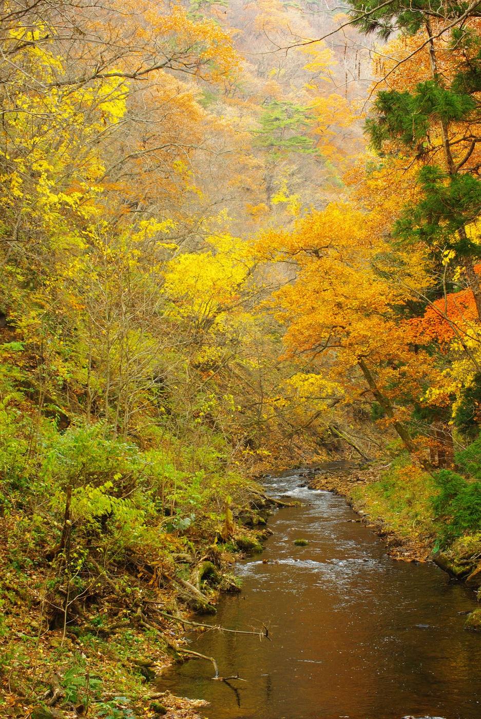 Dai River at Hanamaki, Iwate, Japan.