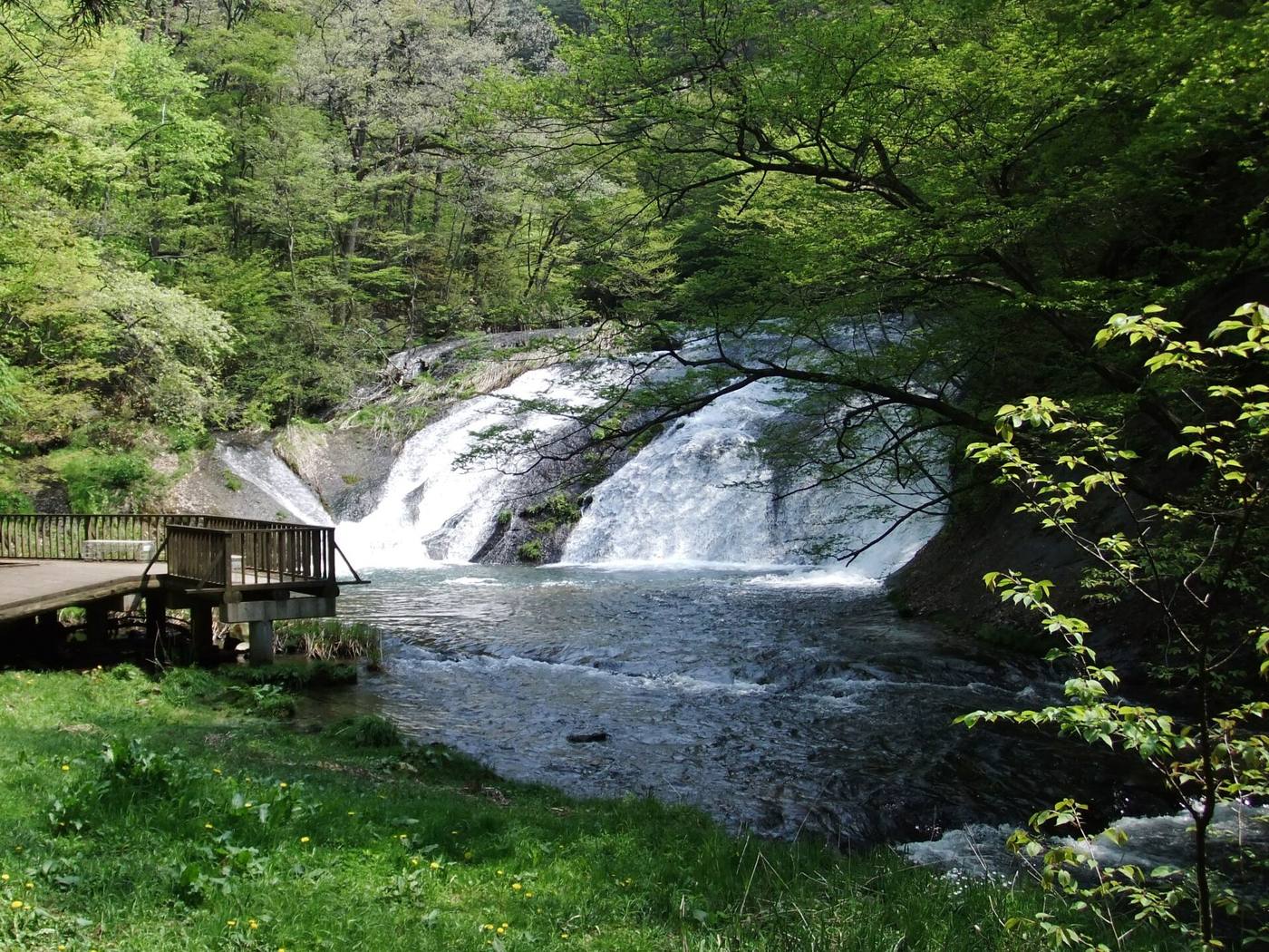 Kamabuchi Falls spreading across a low rock face beside a wooden viewing shelter and leafy trees.